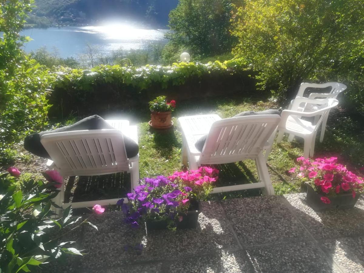 La Finestra Sul Lago Bed & Breakfast Brusimpiano Exterior photo